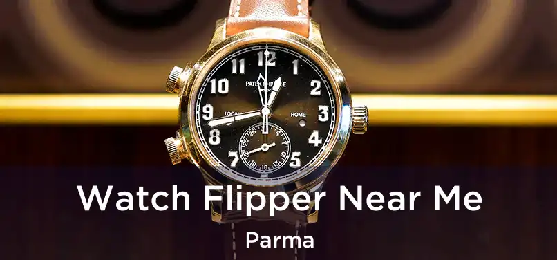 Watch Flipper Near Me Parma